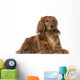 Dachshund (4 Years Old) Wall Decal