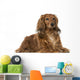Dachshund (4 Years Old) Wall Decal