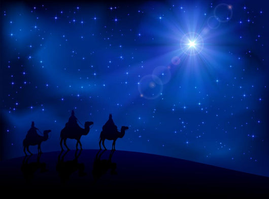 Three wise men and star Wall Mural