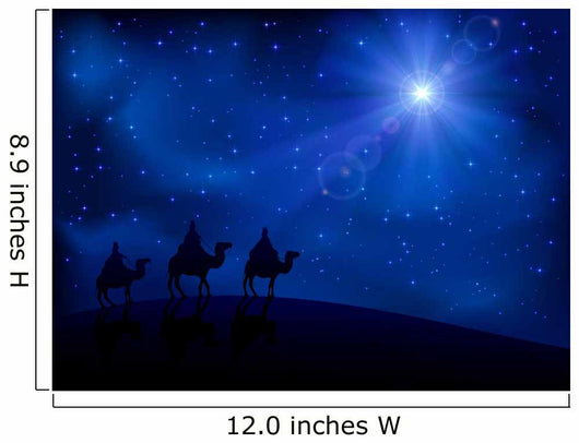 Three wise men and star Wall Mural