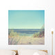 Beach with Grass and