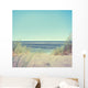 Beach with Grass and