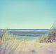 Beach with Grass and