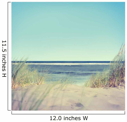 Beach with Grass and