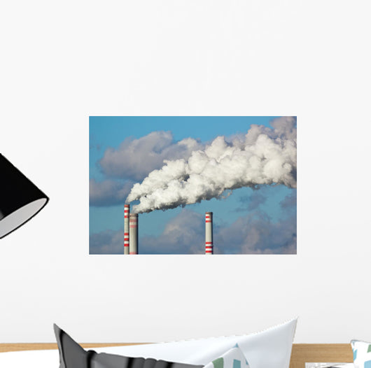 Air Pollution Wall Decal