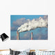 Air Pollution Wall Decal