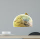 Globe up Asia past