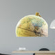 Globe up Asia past