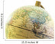 Globe up Asia past