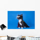 Little Kitten Magician Suit Wall Decal