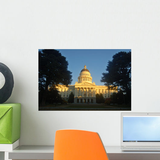 California Capitol Wall Mural