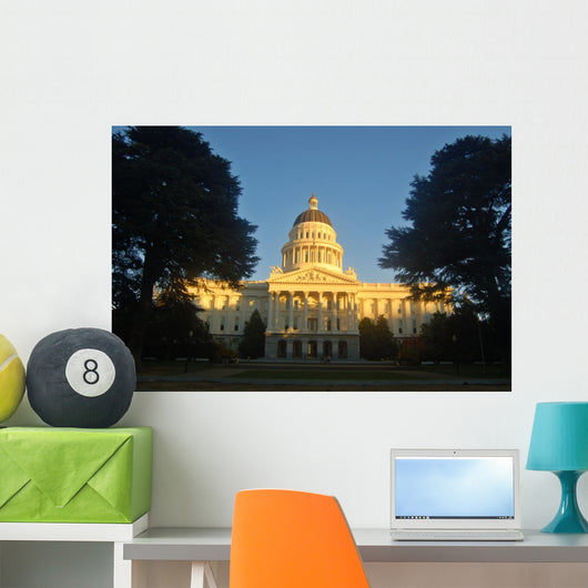 California Capitol Wall Mural