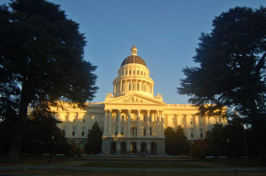 California Capitol Wall Mural
