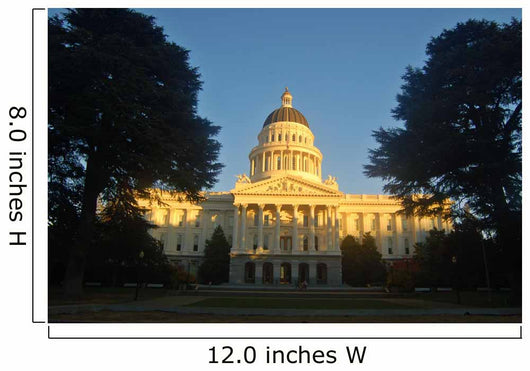 California Capitol Wall Mural
