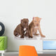 Two American Pit Bull Terrier Puppies with Cropped Ears Wall Decal
