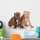 Two American Pit Bull Terrier Puppies with Cropped Ears Wall Decal