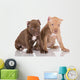 Two American Pit Bull Terrier Puppies with Cropped Ears Wall Decal