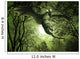 Green Dragon Floating Night