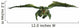 Green Dragon Flying