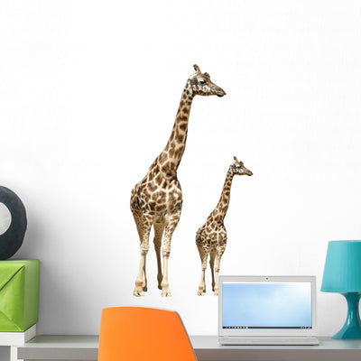 Giraffe Animal Nature Wall Decal shown on a wall