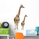 Giraffe Animal Nature Wall Decal