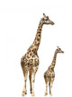 Giraffe Animal Nature Wall Decal