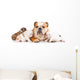 English bulldog mother with puppies Wall Decal