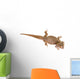 Bearded Dragon