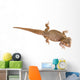 Bearded Dragon