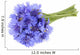 Bouquet of Blue Cornflowers Isolated on White Background Wall Decal
