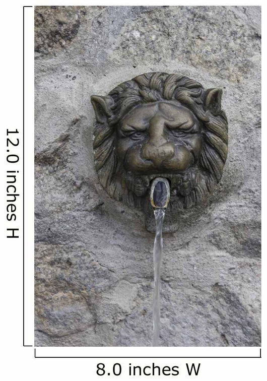 Gargoyle