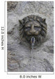 Gargoyle