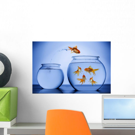 Goldfish Happily Jumping into a New Bowl Wall Decal
