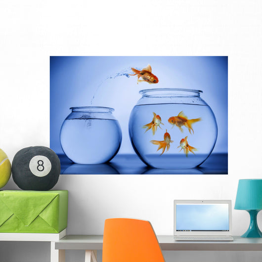 Goldfish Happily Jumping into a New Bowl Wall Decal