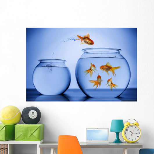 Goldfish Happily Jumping into a New Bowl Wall Decal