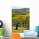 Chianti Italy Landscape Wall Decal
