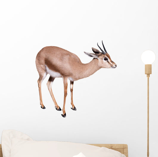 Gazelle Wall Decal
