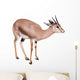 Gazelle Wall Decal