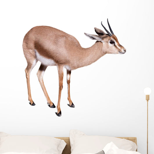 Gazelle Wall Decal