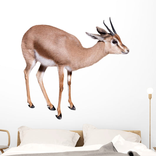 Gazelle Wall Decal