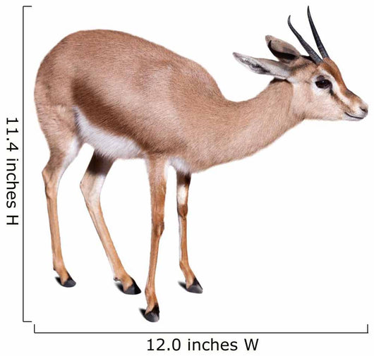 Gazelle Wall Decal