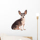 Closeup Portrait of Cute Chihuahua Dog Wall Decal