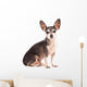 Closeup Portrait of Cute Chihuahua Dog Wall Decal