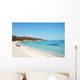 Corse Wall Decal