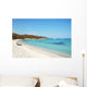 Corse Wall Decal