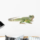 Chinese Water Dragon Wall Decal