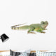Chinese Water Dragon Wall Decal