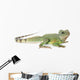 Chinese Water Dragon Wall Decal