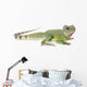 Chinese Water Dragon Wall Decal