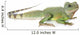 Chinese Water Dragon Wall Decal